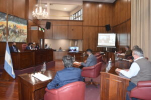 SENADORES