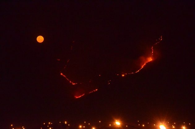 incendios 1