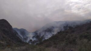 incendios 2