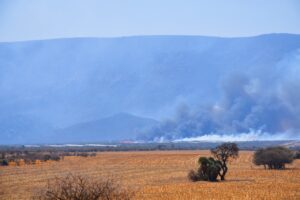 incendios