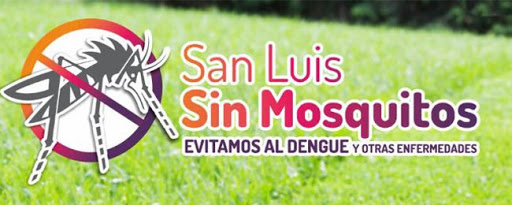 dengue
