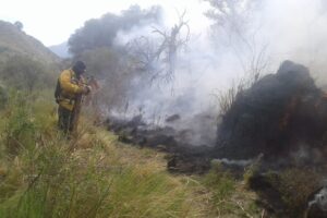 incendios 21-12