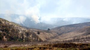 incendios en neuquén