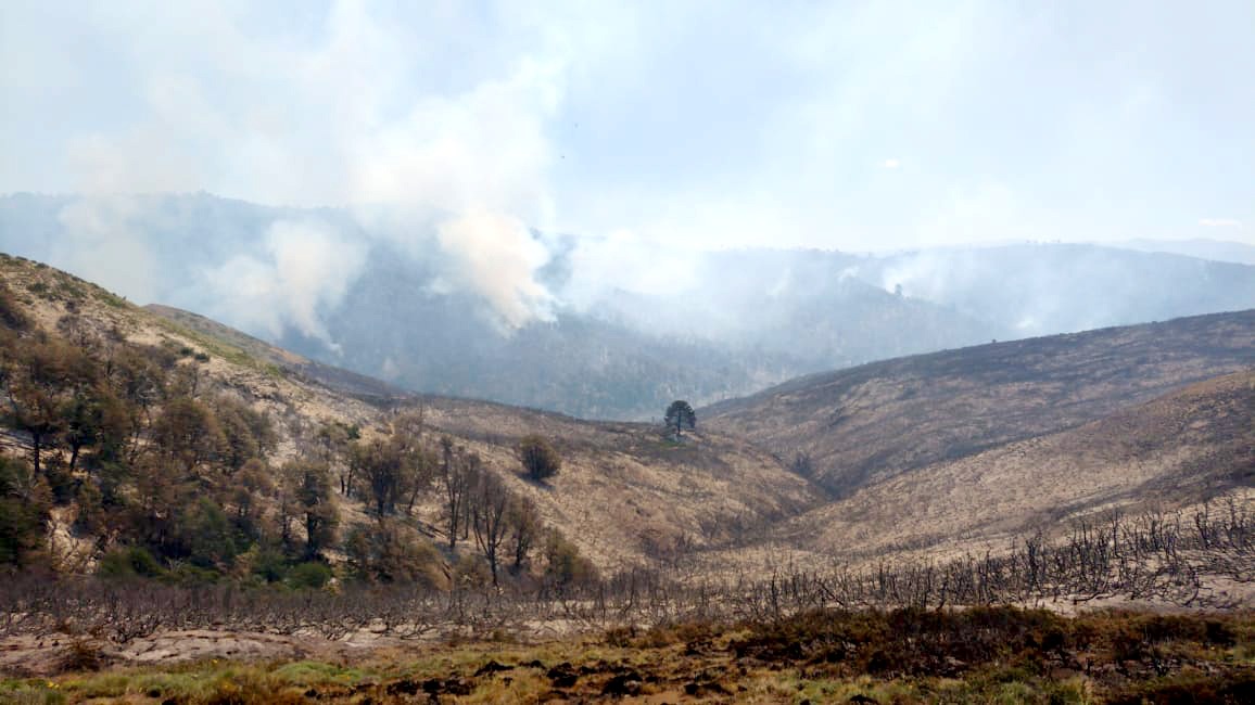 incendios en neuquén
