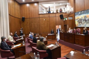 camara senadores