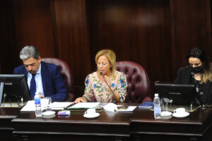 diputados