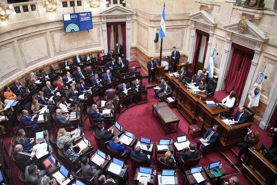 senado