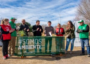 TURISMO & ARBOLES (2)