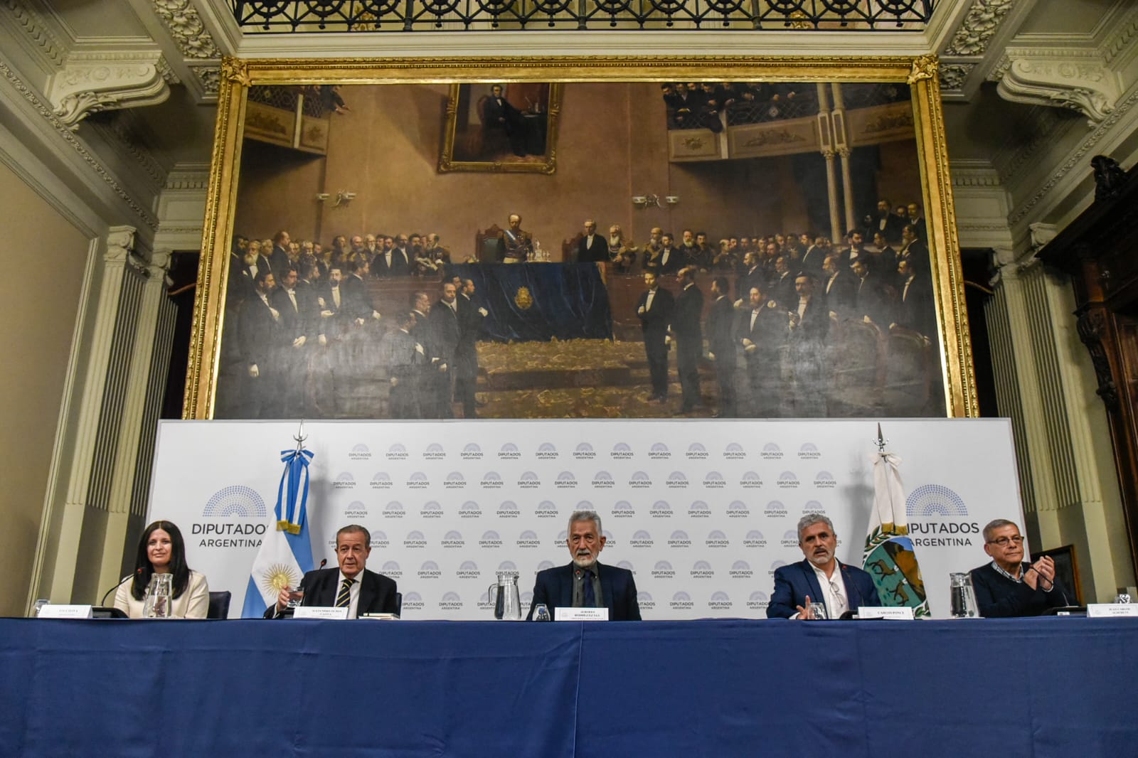 presentación ODP diputados
