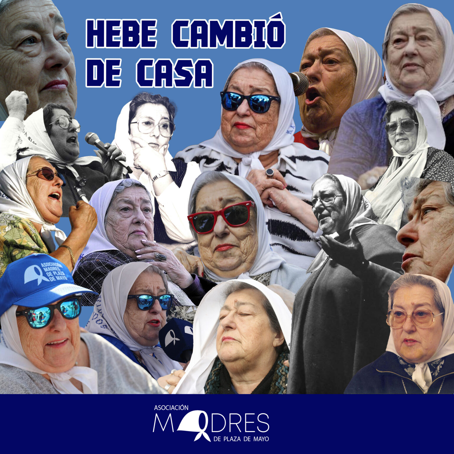 Hebe-20-11-22-1536x1536