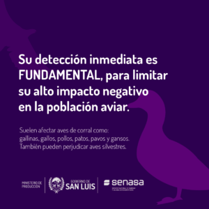 INFLUENZA-POST-02-1