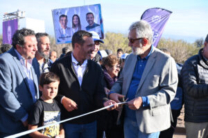 alber tamayo