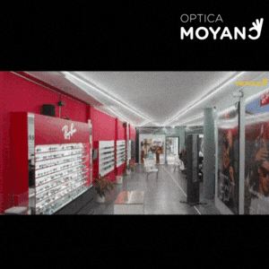 OPTICA MOYANO EL DIARIO GIF (4)