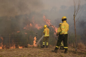 incendio 22-8