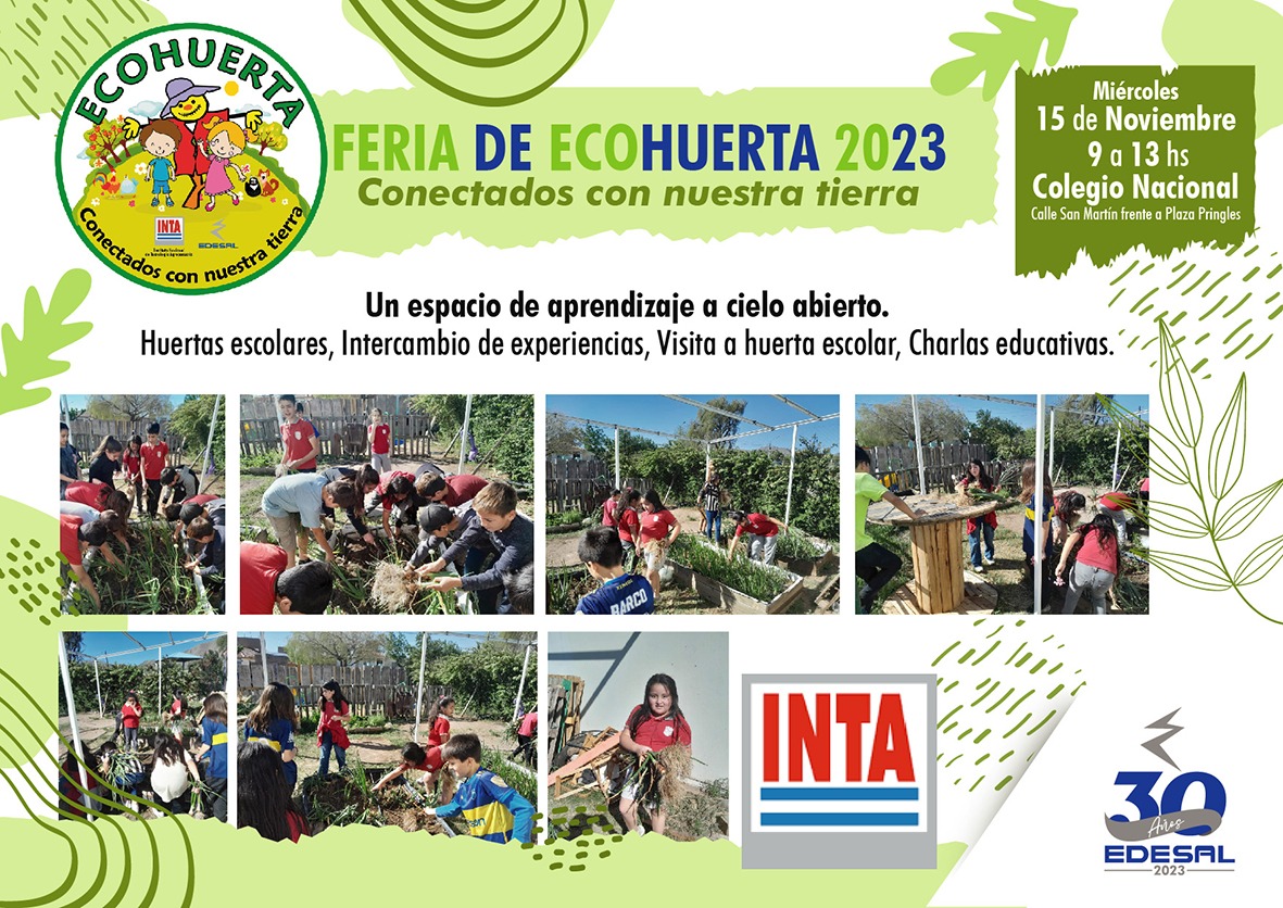 feria ecohuerta