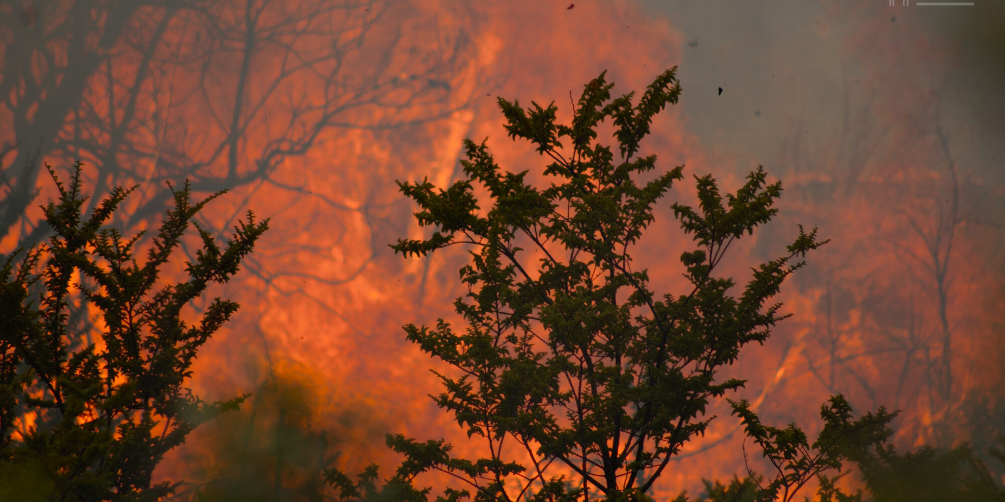 Incendio-Los-Alerces-LUAN-2000x1000