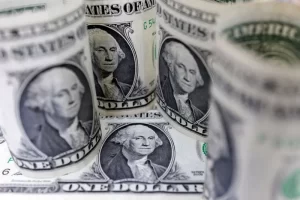 dolares